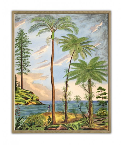 Palm Tree Print, Botanica...