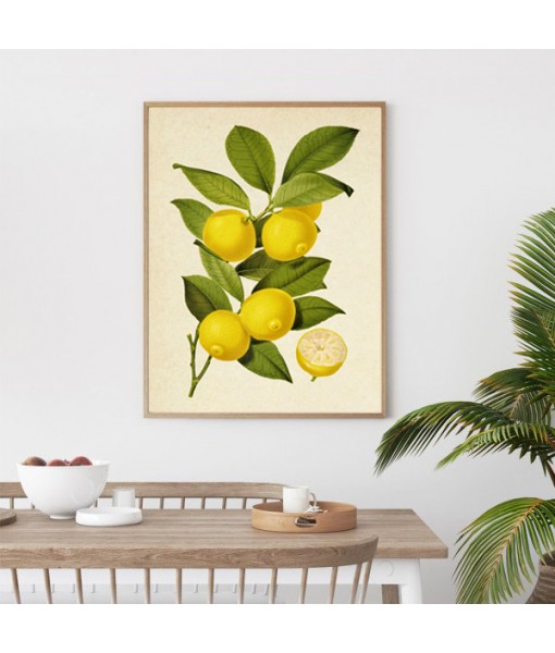Lemon Print - Art-1047