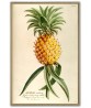 Pineapple Print - Art-106