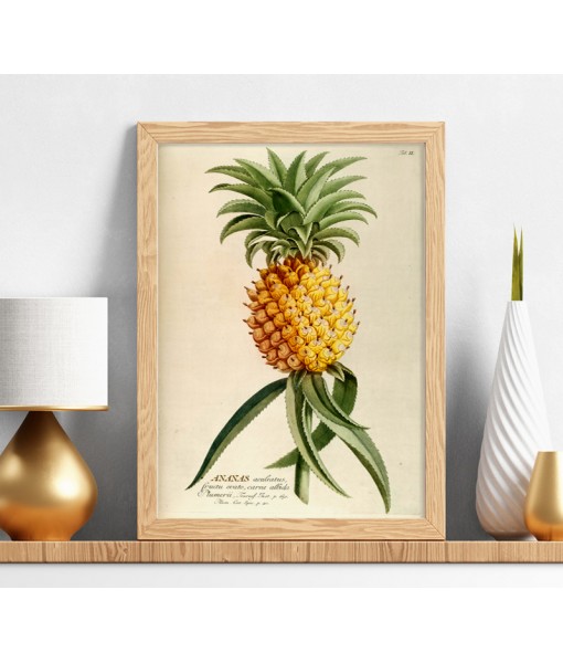 Pineapple Print - Art-106