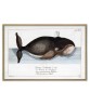Whale Print - Art-1061