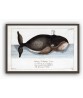 Whale Print - Art-1061