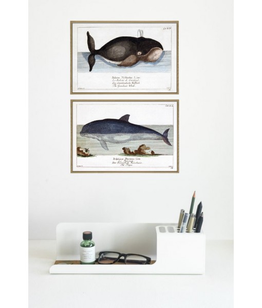 Dolphin and Whale Print  Set ...