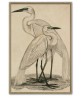 Two Cranes - Art-1063