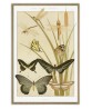 Butterflies Print - Art-1119