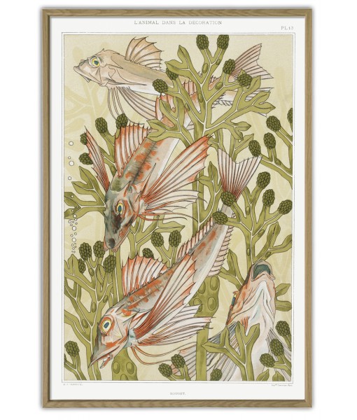 Fishes and Algae Print - Art-1121