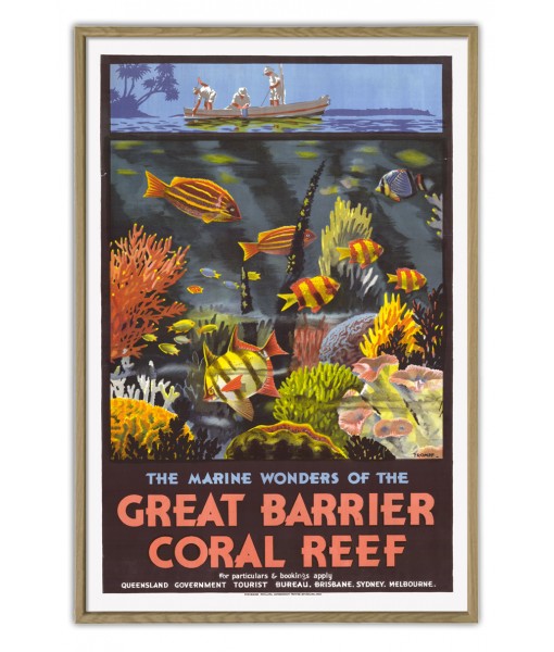 The Marine Wonders of the Great Barrier Coral Reef  - Art-1123