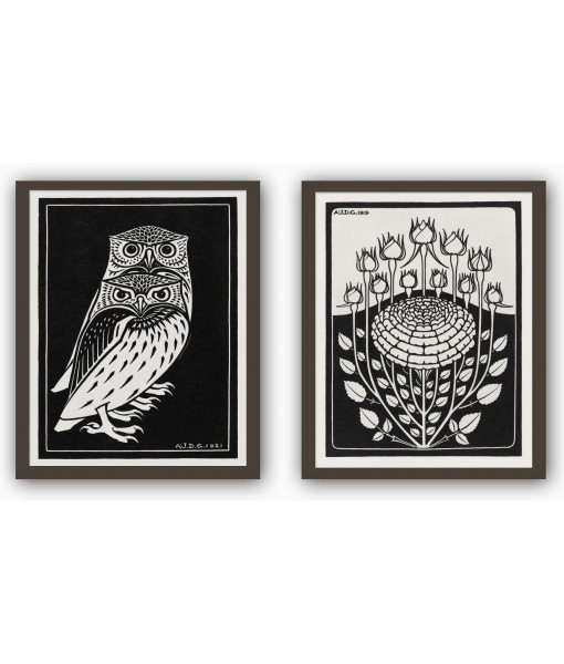 Two Owls and Rose Bush Prints ...