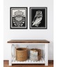 Two Owls and Rose Bush Prints Set of 2 - Art-1126