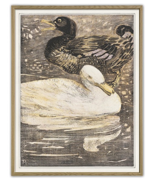 Two ducks  - Art-1127(1)