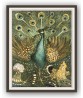 Peacock Print - Art-1130