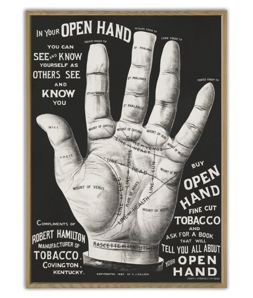 Open Hand, Palm Reading Print - ...