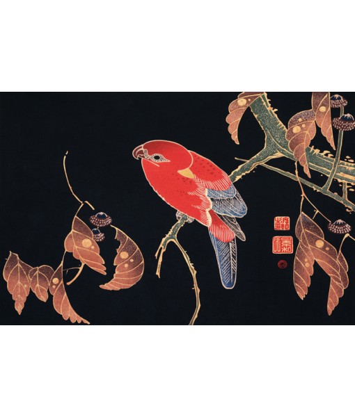 Birds Print - Art -1137-2
