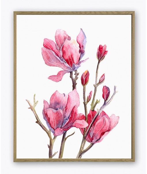 Magnolia Watercolour Flower Painting Print