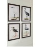 Birds Print Set of 4, Art-135
