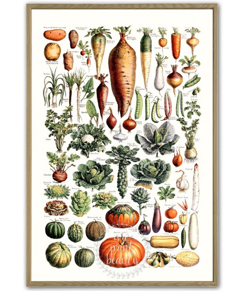 Vegetables Poster - Art-146