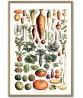 Vegetables Poster - Art-146