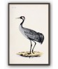 Cranes and Herons Bird Print Set of 4 - Art-162,166,272-1-2