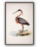 Crane Bird Print - Large Wall Art Decor #166