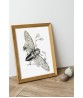 Cicada Print - Art-186