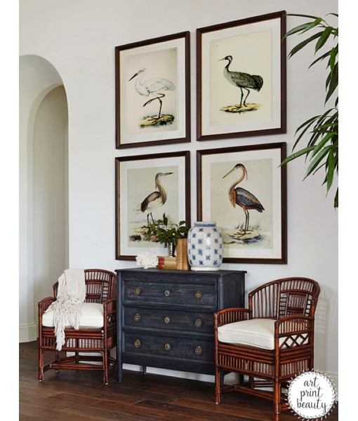 Cranes and Herons Bird Print Set ...