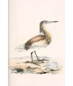 Heron Bird Print - Large Wall Art Decor #272-2