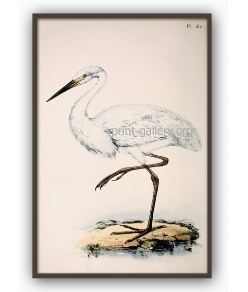 Heron Bird Print - Large Wall Art Decor #272-1