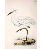 Heron Bird Print - Large Wall Art Decor #272-1