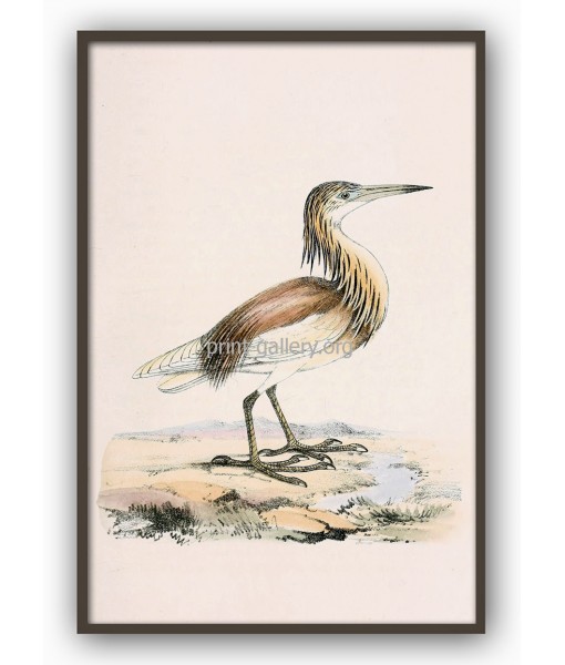Heron Bird Print - Large Wall Art Decor #272-2
