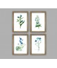 Blue Flowers Print Set of 4, Botanical Illustrations,  Vintage Painting Print,  Art-277