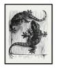 Two Lizards Print - Vintage Lithography Print - Art-344