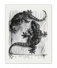 Two Lizards Print - Vintage Lithography Print - Art-344