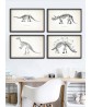 Dinosaur Skeleton Print Set of 4, Prehistoric, Fossil Book Plate Illustration, Paleontology