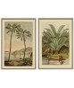 Palm Tree Art Print - Art-442(set of 2)