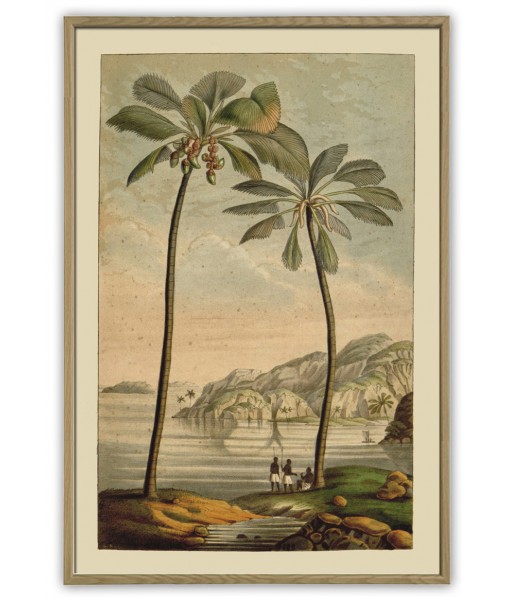 Palm Tree Art Print - Art-442(1)