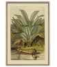 Palm Tree Art Print - Art-442(2)