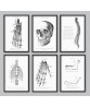Human Anatomy Print Set of 6, Vintage Science Illustrations Art-481