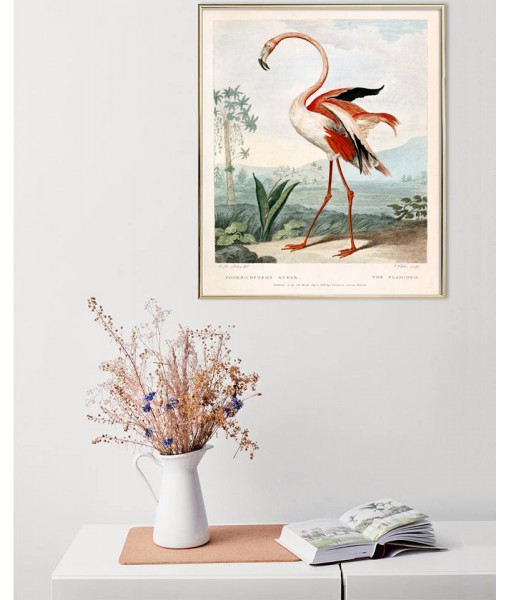 Flamingo Bird Print  -  ...