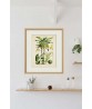 Palm Tree Print, Botanical Illustration Print Art 522(2)