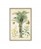 Palm Tree Print Set of 2, Botanical Illustration Print Art 522(set of 2)