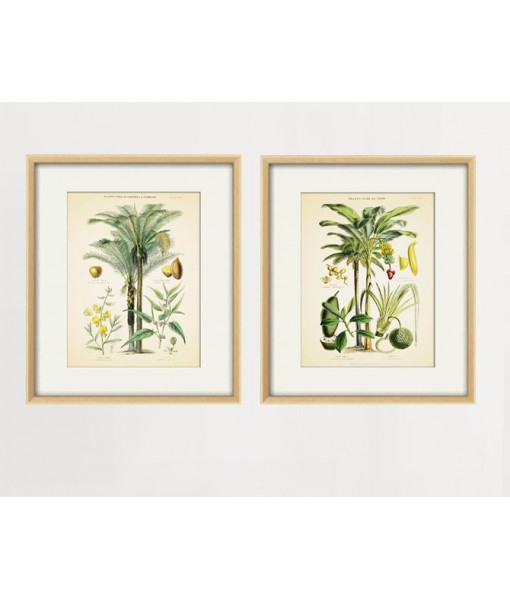 Palm Tree Print Set of 2, ...
