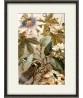 Cicada Print - Art-527(antique)