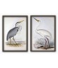 Crane and Heron Birds Print Set of 2. Antique Illustration Print #Art-592