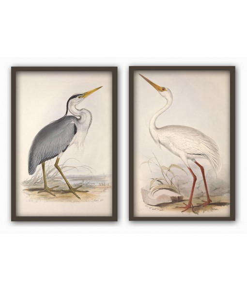 Crane and Heron Birds Print Set ...