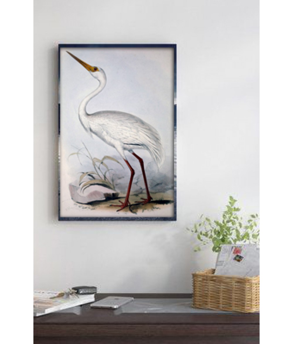 White Crane bird print, large wall decor, antique illustration, living ...