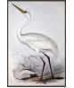 White Crane Bird Print, Vintage Illustration #Art-592