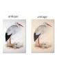 White Stork Print, Vintage Bird  Illustration #Art-592