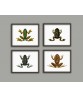 Frogs Print Set of 4 - Art-600-white background