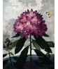 The Pontic Rhododendron - Flower Print - Botanical Illustration Art-613-11