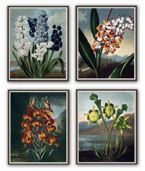 Flower Print Set of 4 - ...